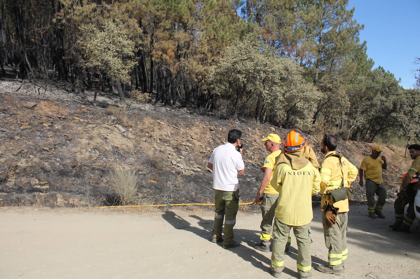 Fotos: Imágenes del incendio que ha afectado a un pinar de Monesterio