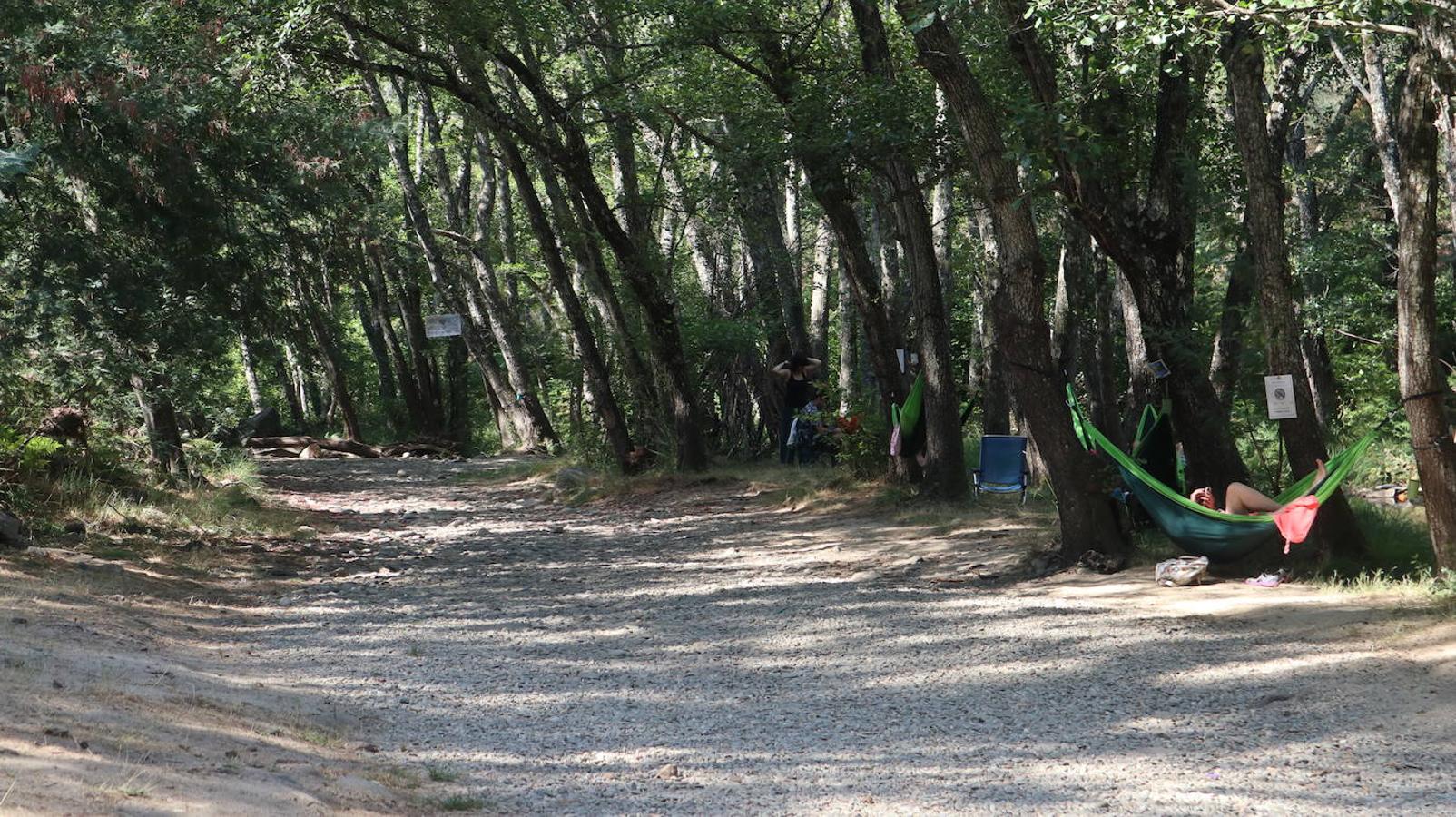 Villasbuenas de Gata: Una cantina silvestre y por la causa.