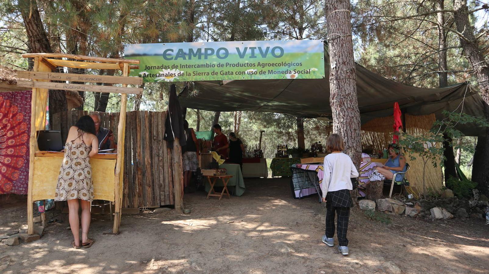 Villasbuenas de Gata: Una cantina silvestre y por la causa.