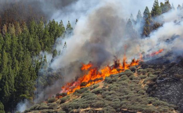 Imagen del incendio. 