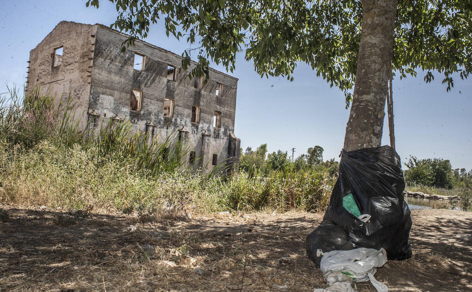 Bolsas de basura colgadas de un árbol junto al Molino de los Moscoso. :: 