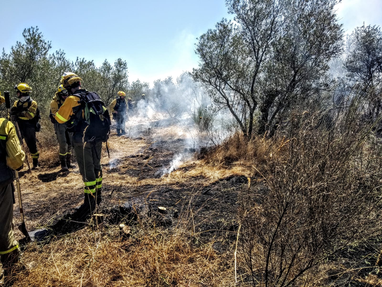 Fotos: Imágenes del incendio registrado en la localidad cacereña de Calzadilla