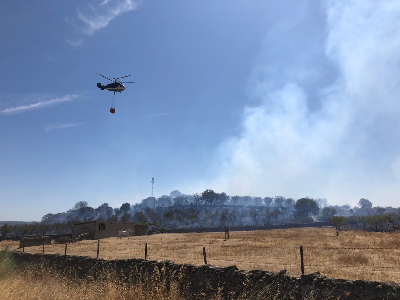 Fotos: Imágenes del incendio registrado en la localidad cacereña de Calzadilla
