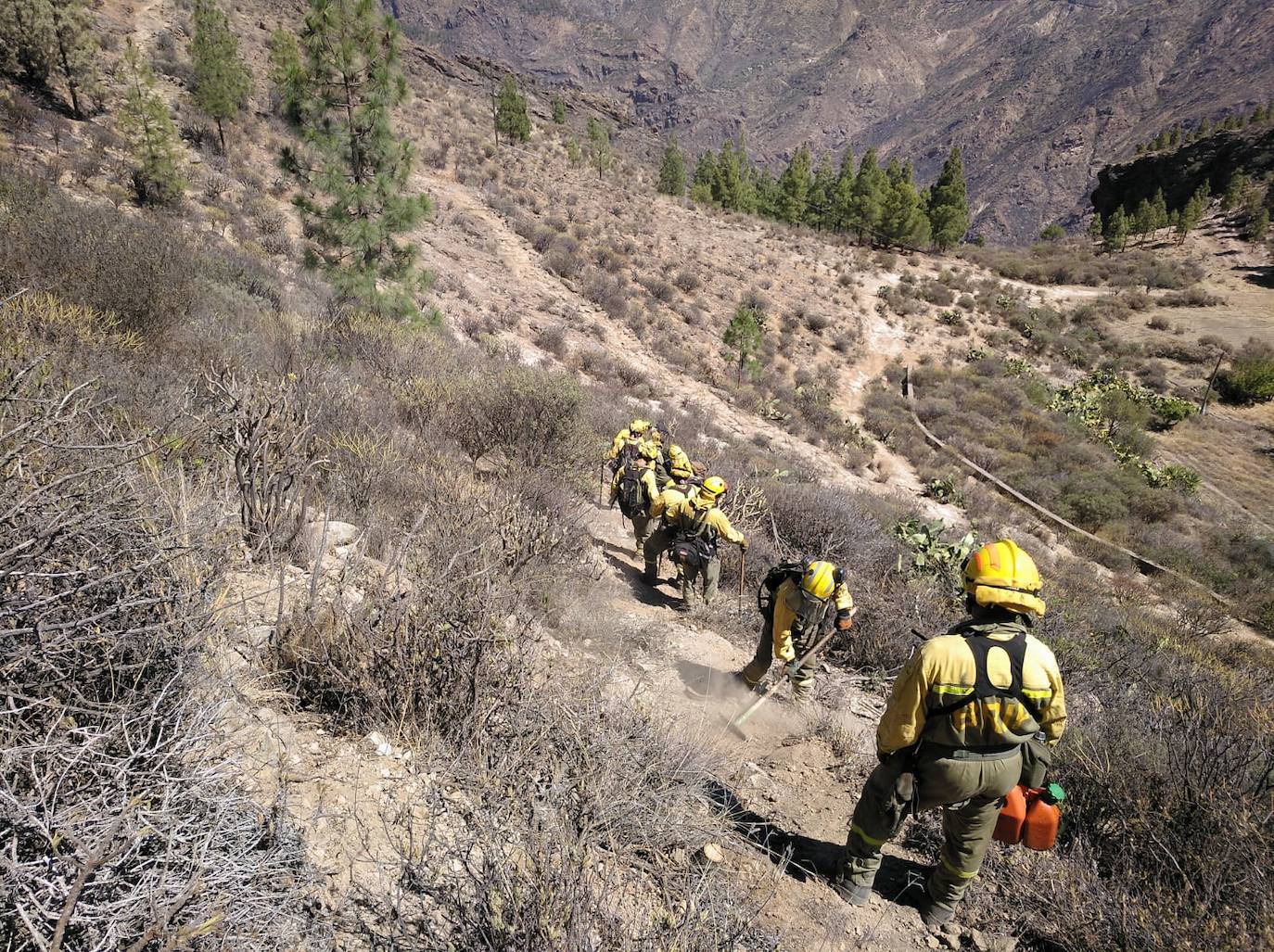 Bomberos de la BRIF de Pinofranqueado, trabajando ayer en Gran Canaria. 