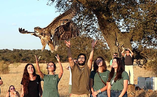 Voluntarios de AMUS liberan a dos búhos reales. 
