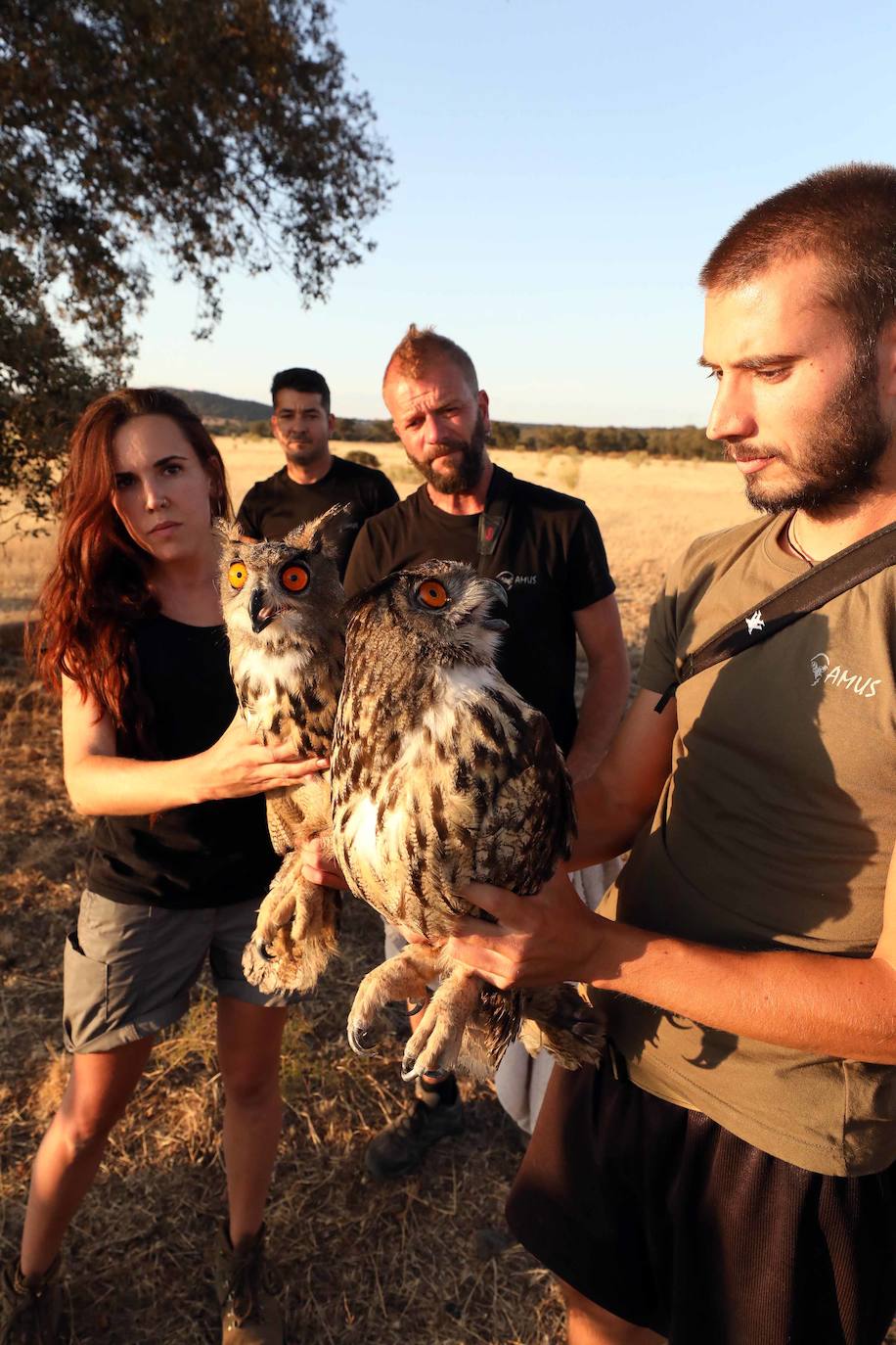 Fotos: Aves que emprenden de nuevo el vuelo