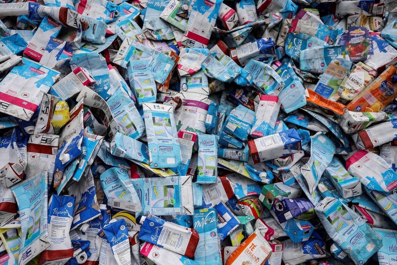 Fotos: La basura sale del mar y encuentra un camino reciclable en Venezuela