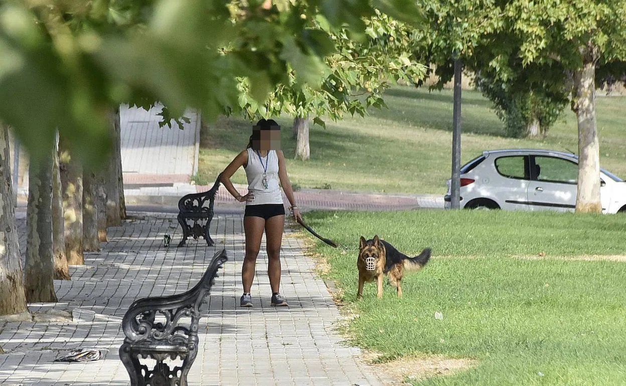 Una mujer pasea un perro en Badajoz.