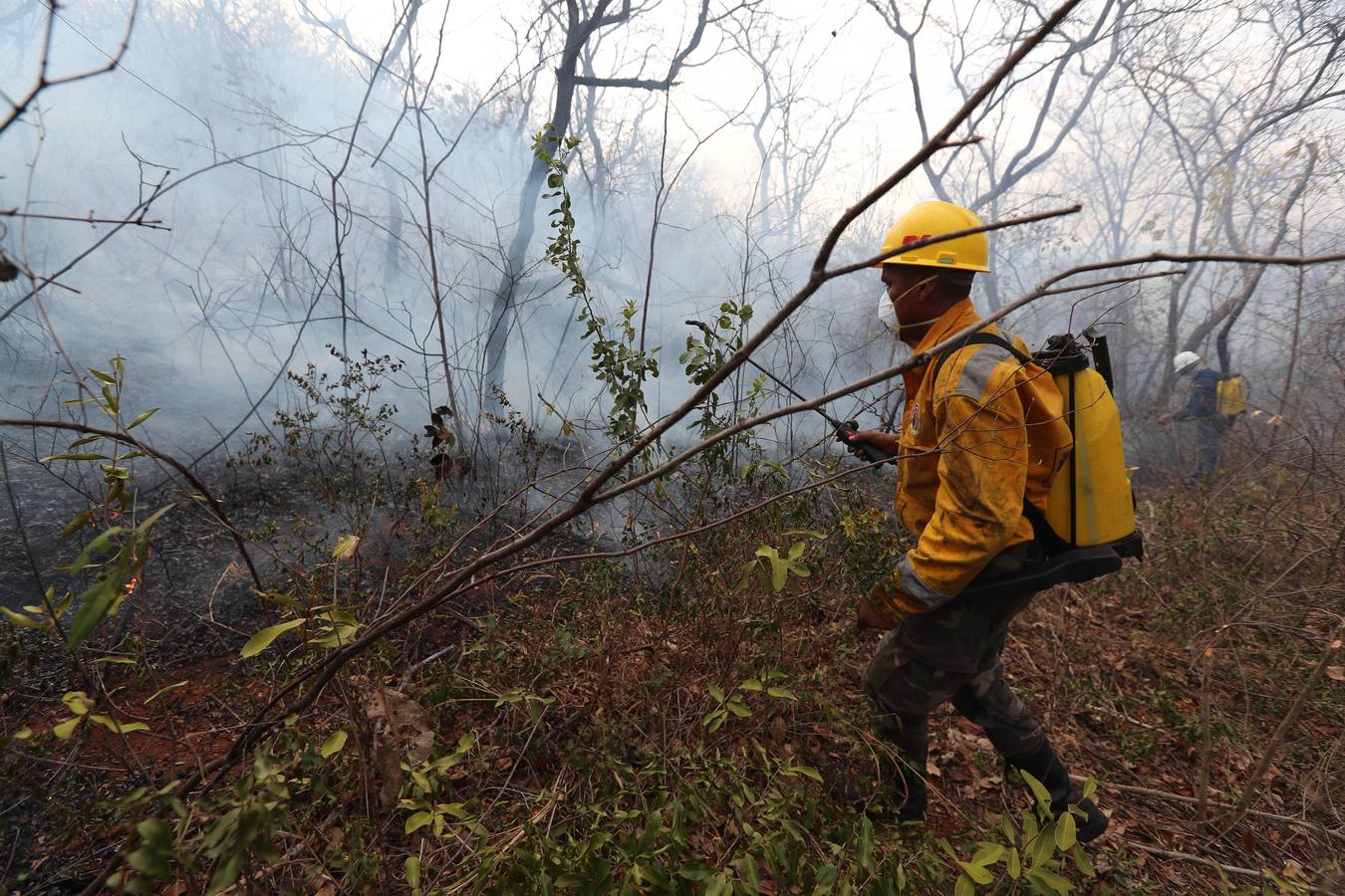 Fotos: Soldados y voluntarios, los héroes que luchan contra el fuego en Bolivia