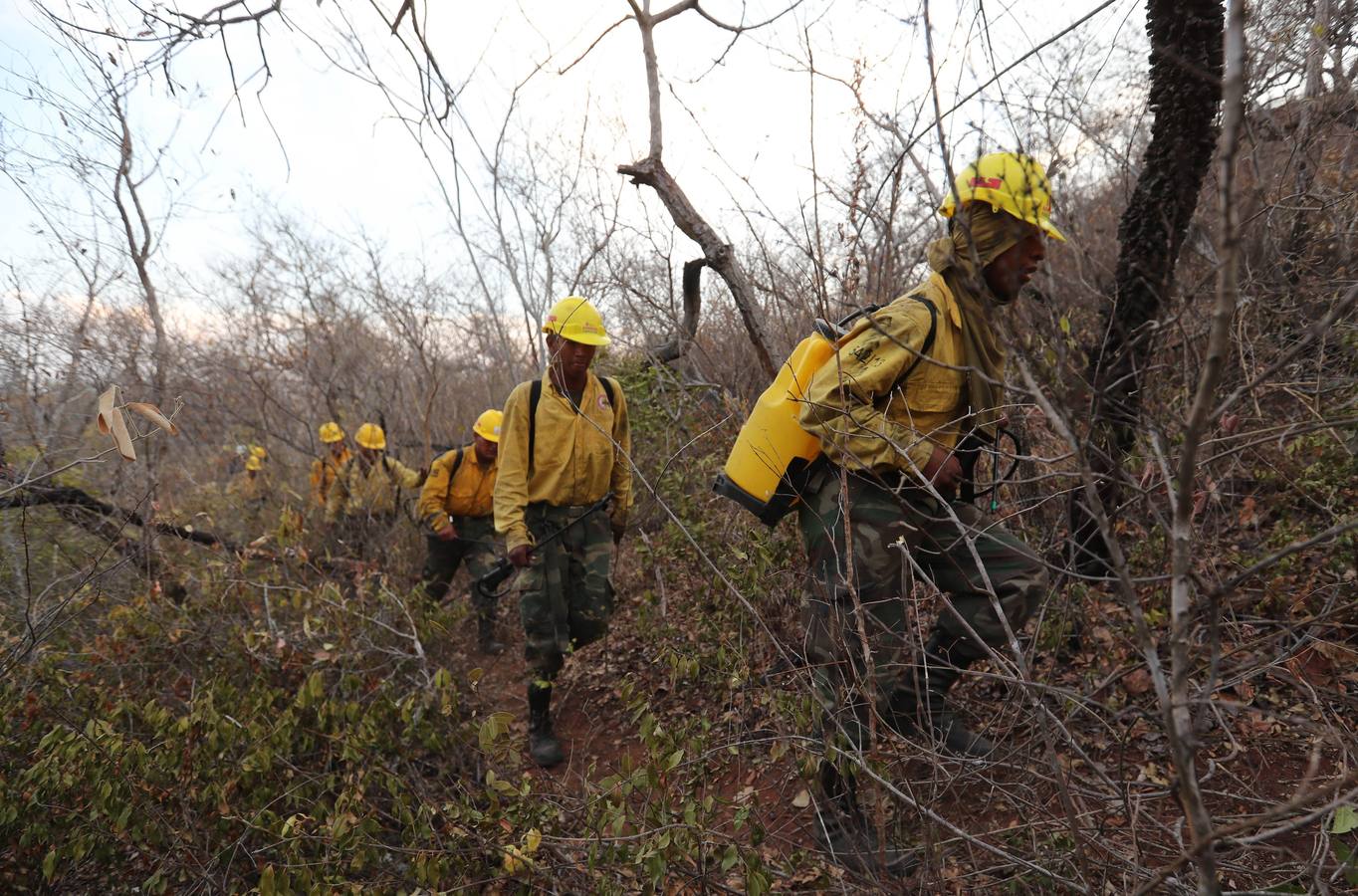 Fotos: Soldados y voluntarios, los héroes que luchan contra el fuego en Bolivia