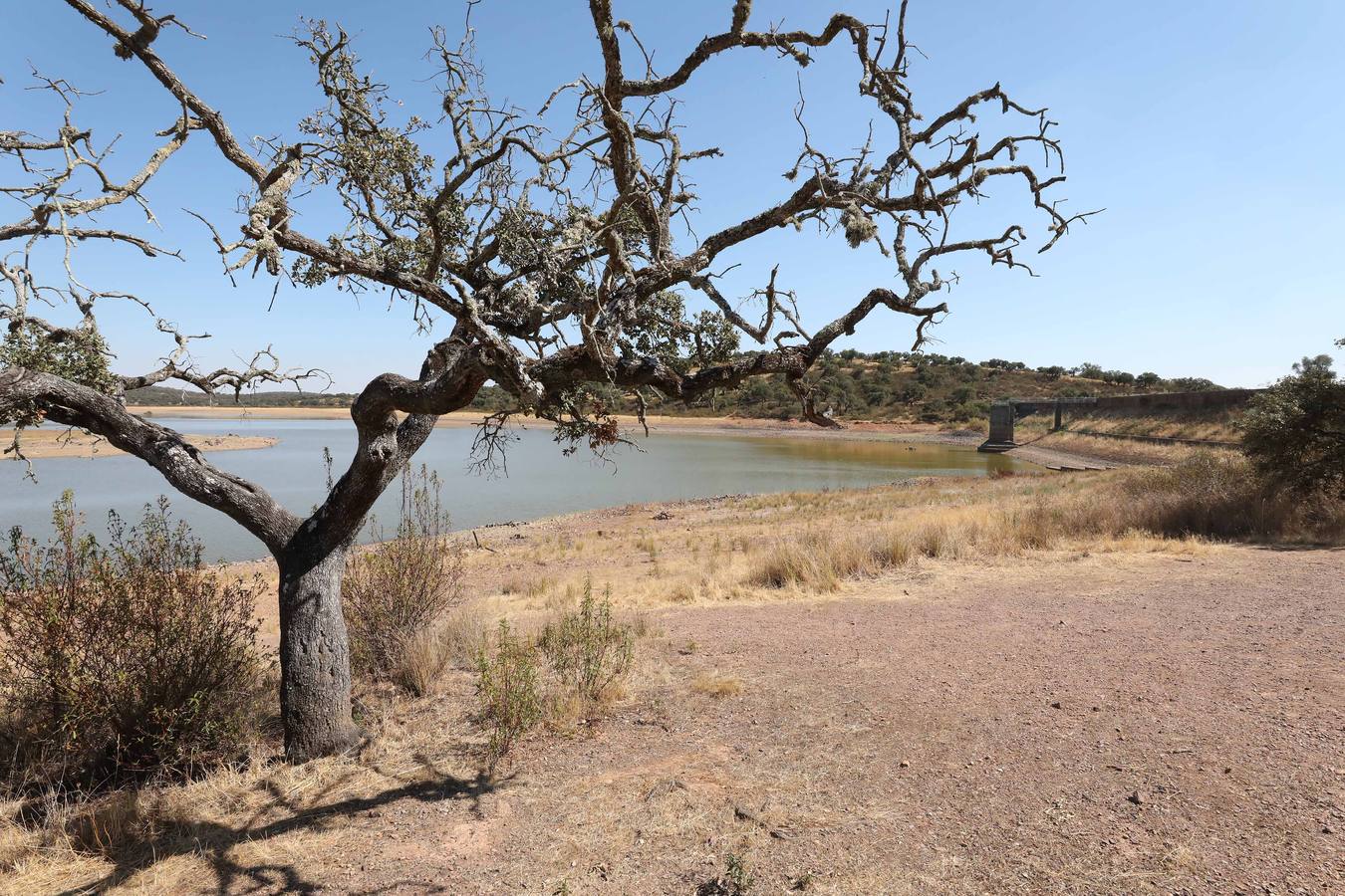 Fotos: Seis pueblos de la comarca de Mérida inician restricciones en el consumo de agua