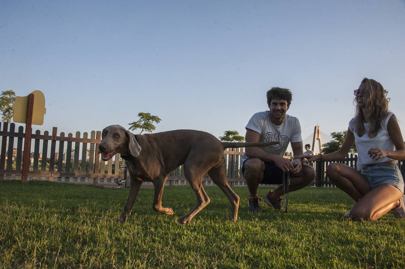 Fotos: El parque donde solo juegan los perros