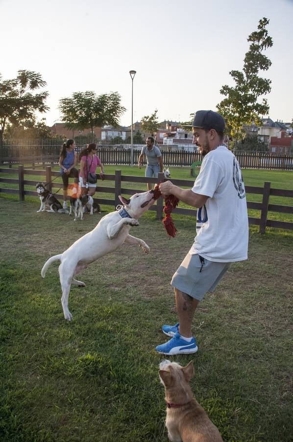 Fotos: El parque donde solo juegan los perros