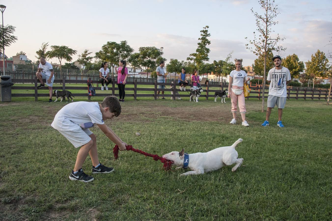 Fotos: El parque donde solo juegan los perros