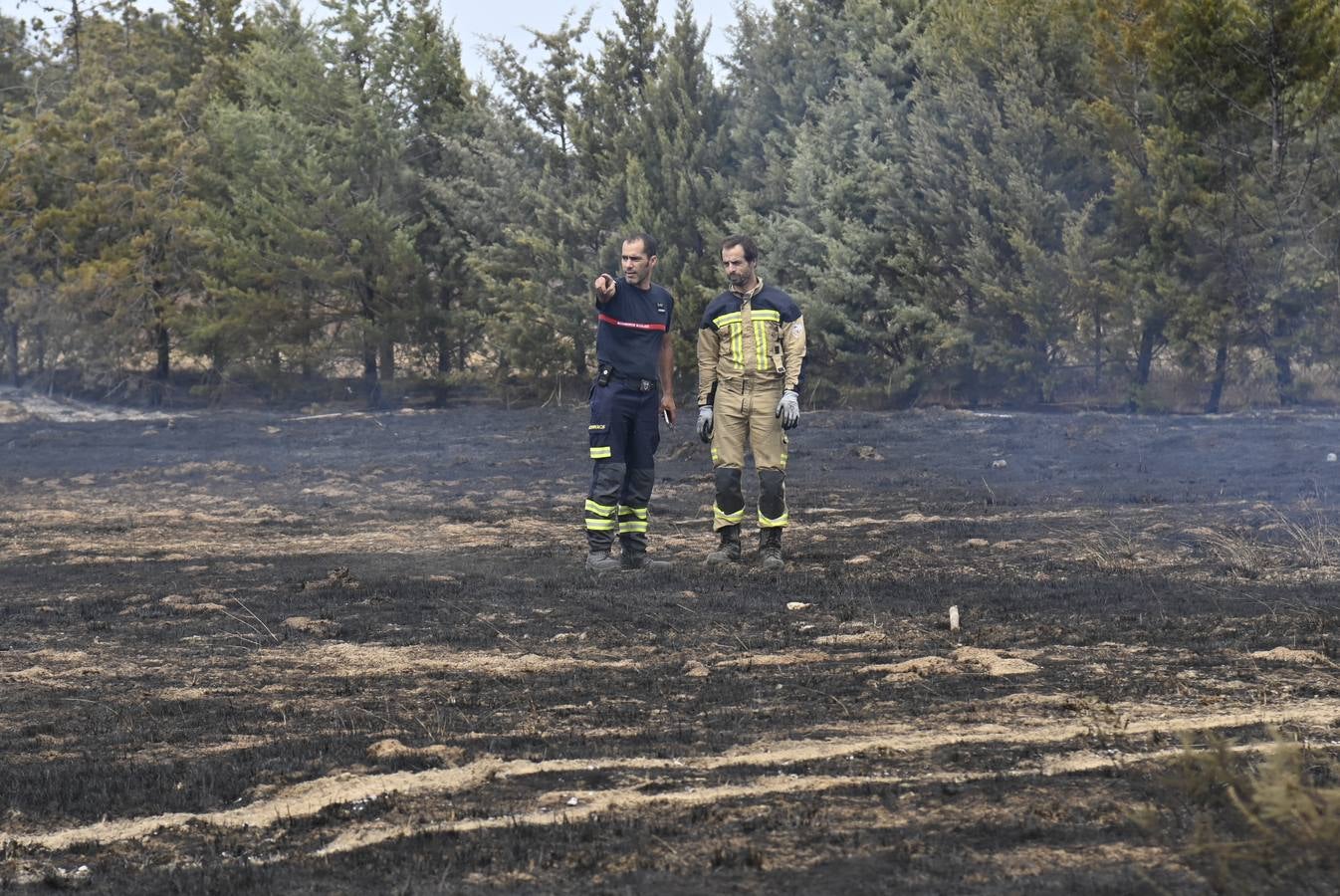 Fotos: Estabilizan y desactivan el nivel 1 de peligrosidad del incendio forestal de Bótoa