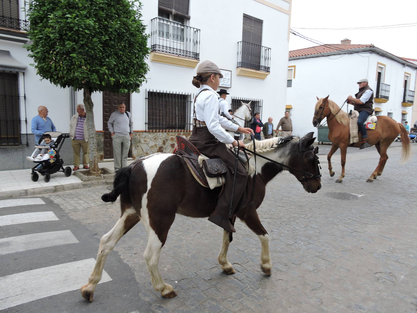 Fotos: Galería de fotos del Paseo a Caballo 2019 en Fregenal
