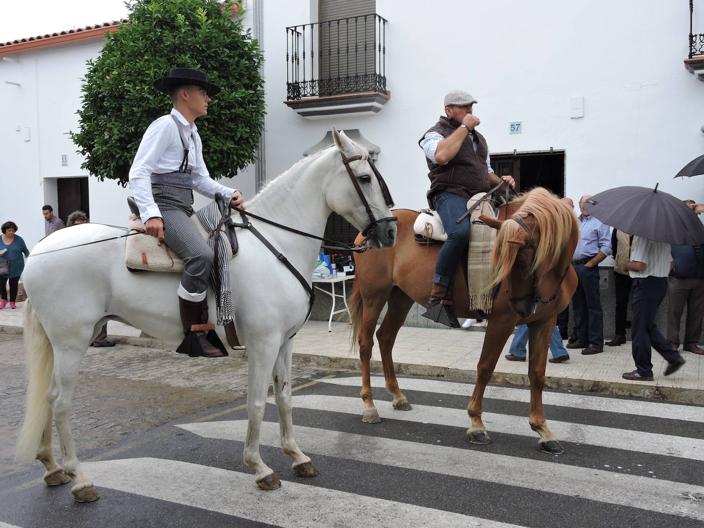 Fotos: Galería de fotos del Paseo a Caballo 2019 en Fregenal