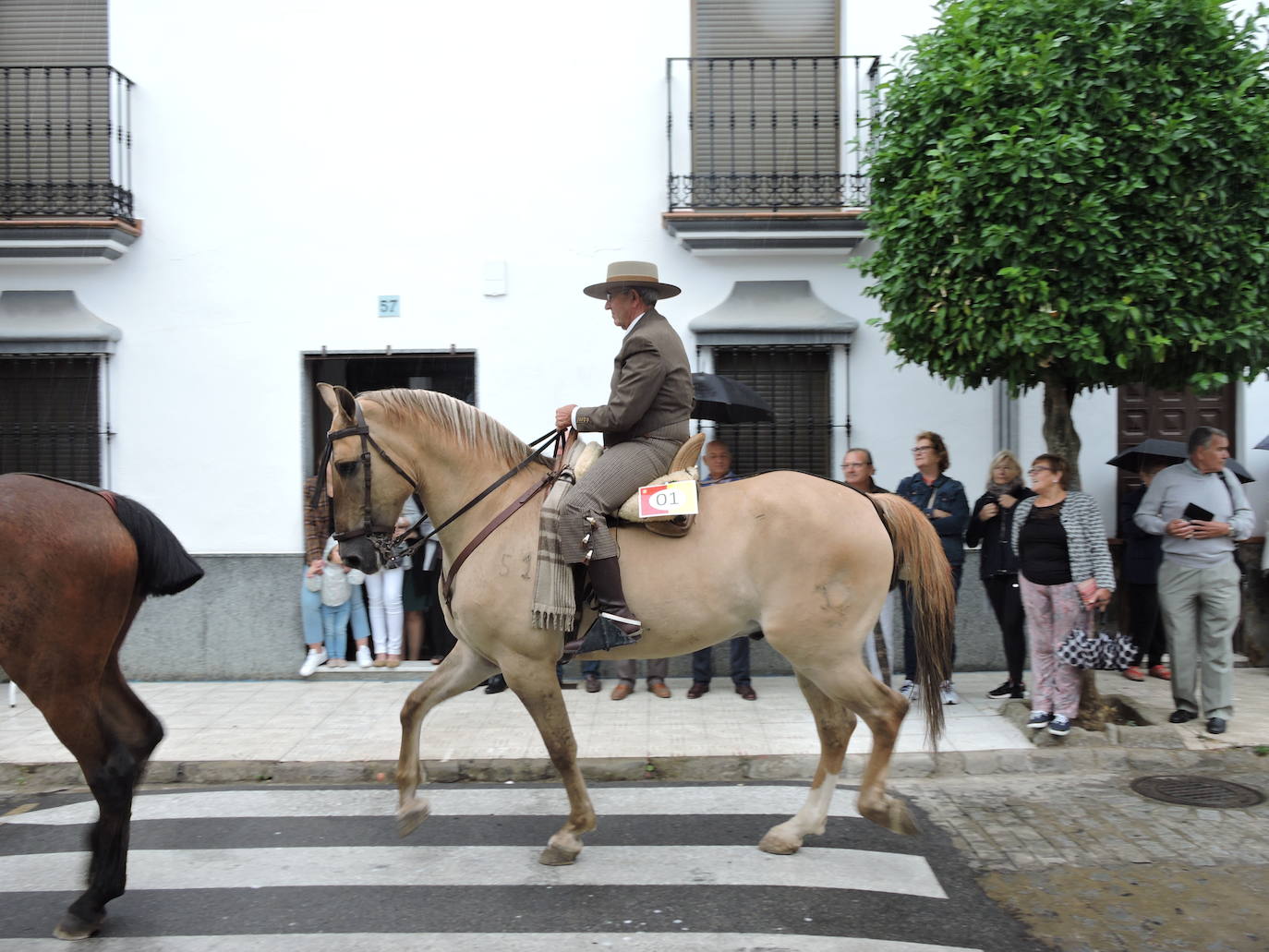 Fotos: Galería de fotos del Paseo a Caballo 2019 en Fregenal