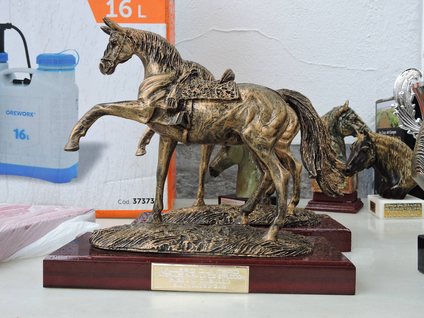 Fotos: Galería de fotos del Paseo a Caballo 2019 en Fregenal