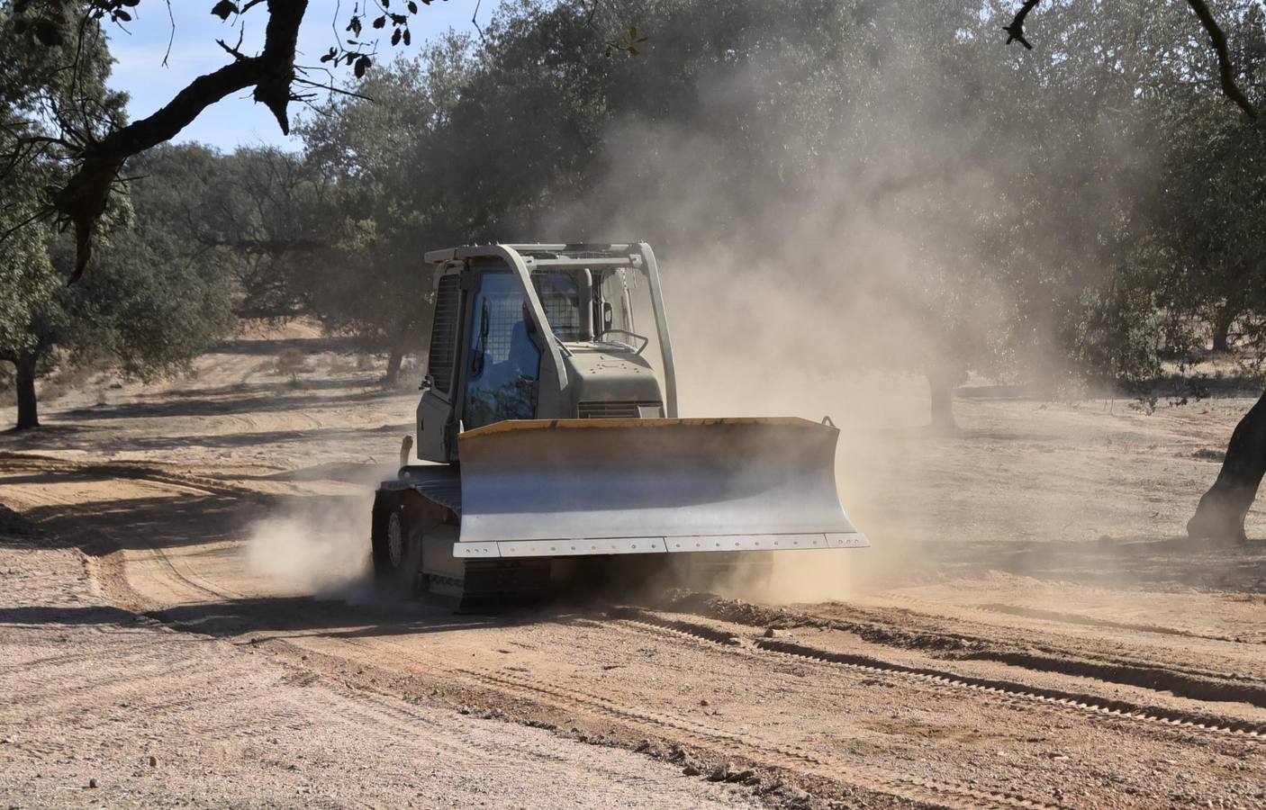 Fotos: 150 militares extremeños comienzan en noviembre su misión en Irak