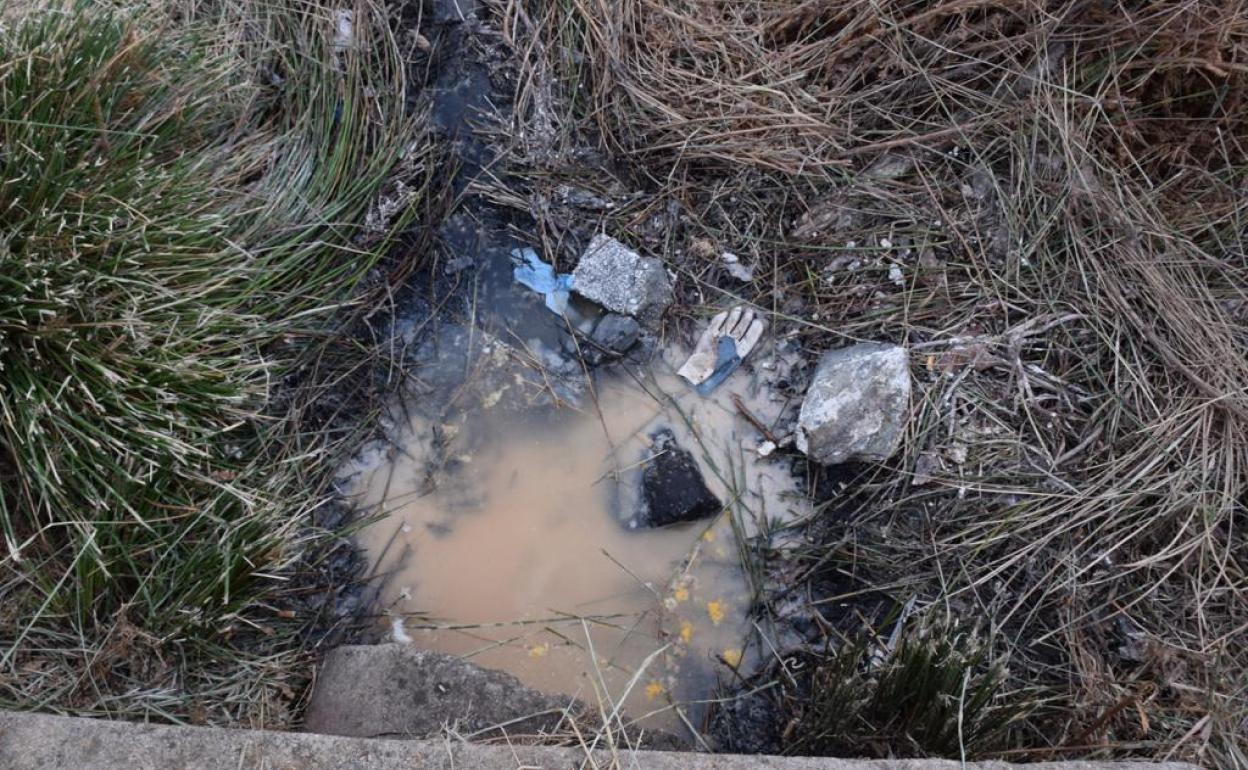 Aguas negras con guantes de latex en la finca El Cuartillo. 