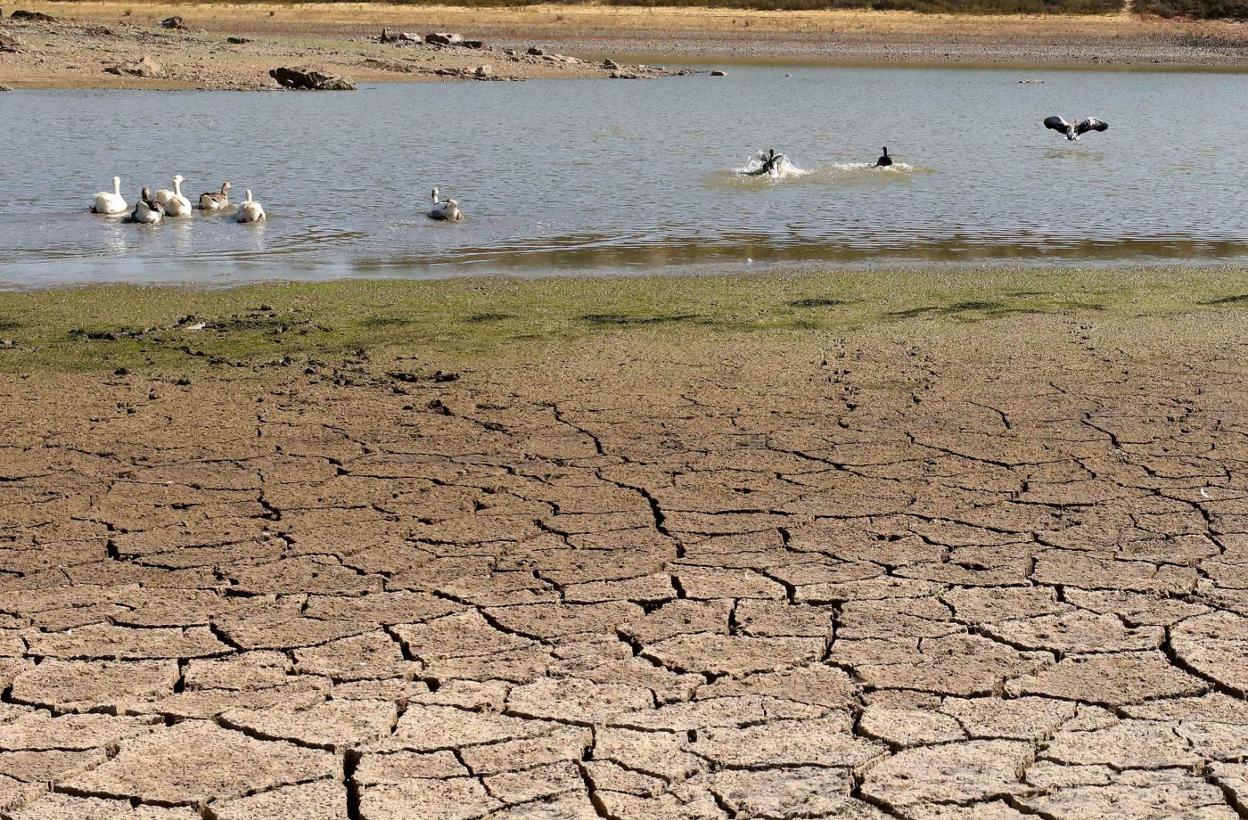 Estado actual del Embalse de Cornalvo. :: hoy