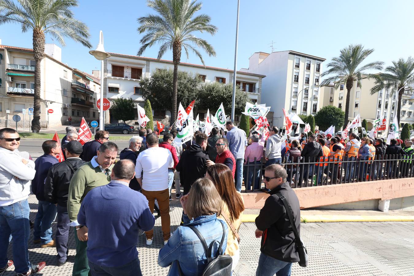 Fotos: Trabajadores de Ambulancias Tenorio mantienen la huelga para el 1 de noviembre