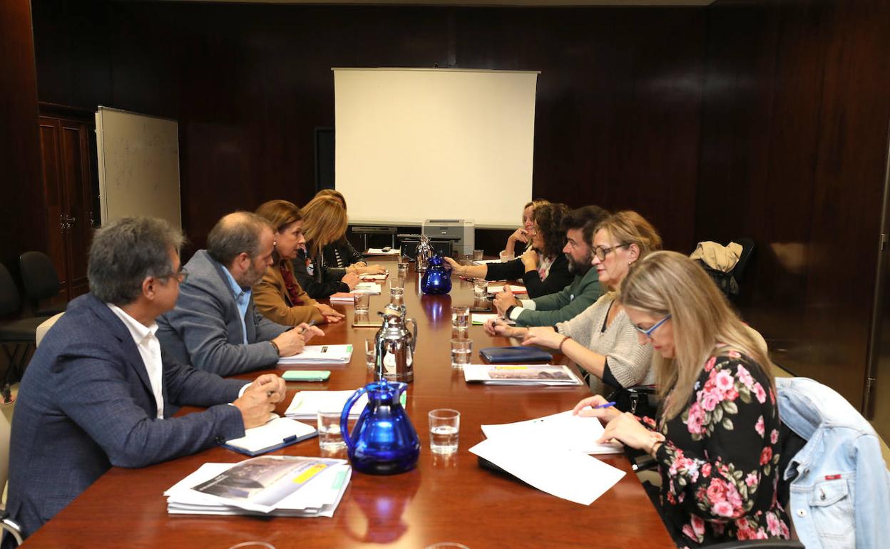 La reunión entre Junta, Delegación, patronal y sindicatos se ha producido en Mérida