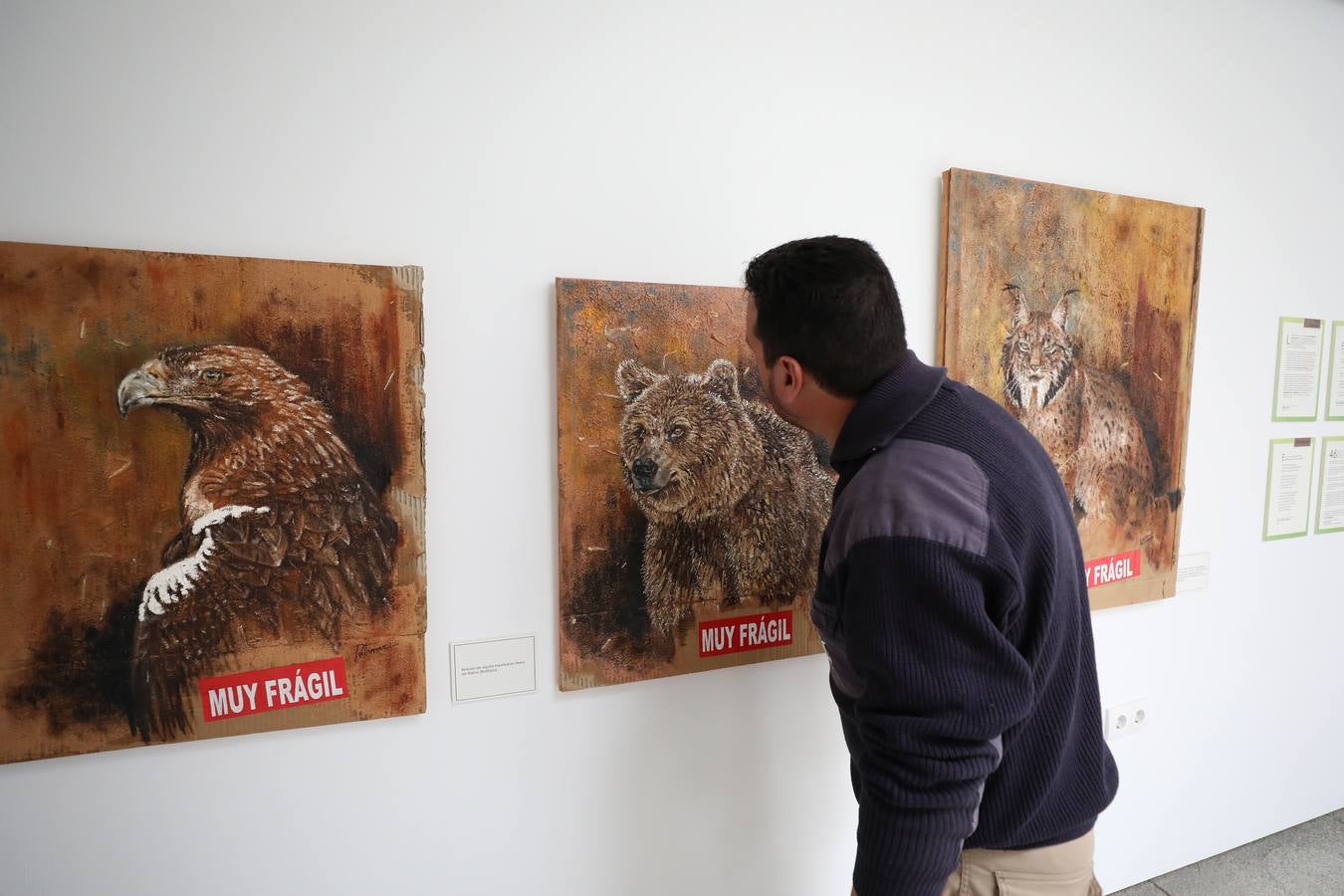 Fotos: Exposición de pintura &#039;Frágiles&#039; de Damián Retamar