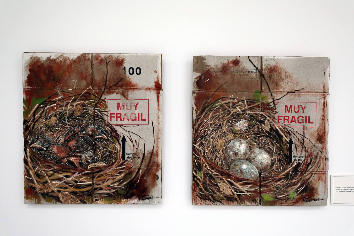 Fotos: Exposición de pintura &#039;Frágiles&#039; de Damián Retamar