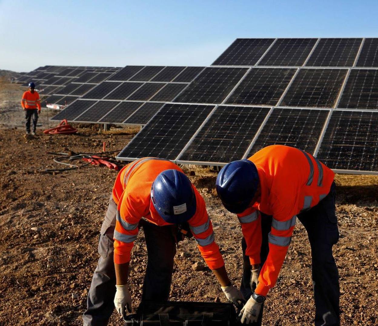 Trabajadores en el montaje de la planta fotovoltaica Nuñez de Balboa entre Usagre e Hinojosa. :: hoy