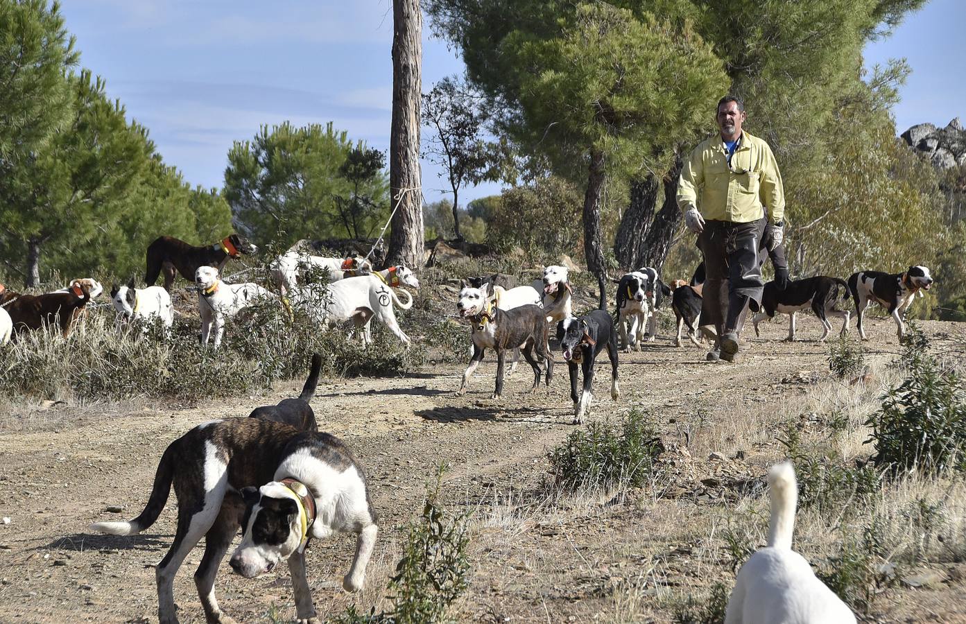 Fotos: Montería social, caza para todos los bolsillos