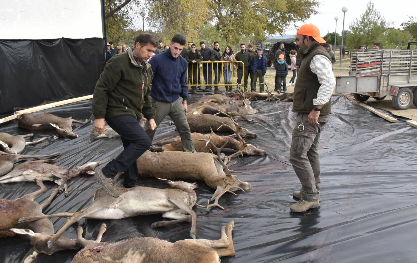 Fotos: Montería social, caza para todos los bolsillos