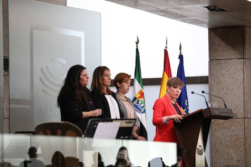 Extremadura ha invitado este lunes a combatir la violencia de género como una «cuestión de Estado» y ha recalcado que no es tiempo «de miedos ni de pasos atrás».