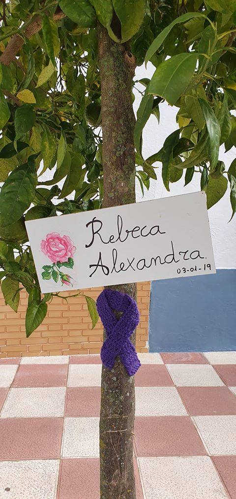 En Medina de las Torres han colocado tablas decoradas con el nombre de todas las mujeres asesinas en 2019 por violencia machista junto a un lazo violeta.