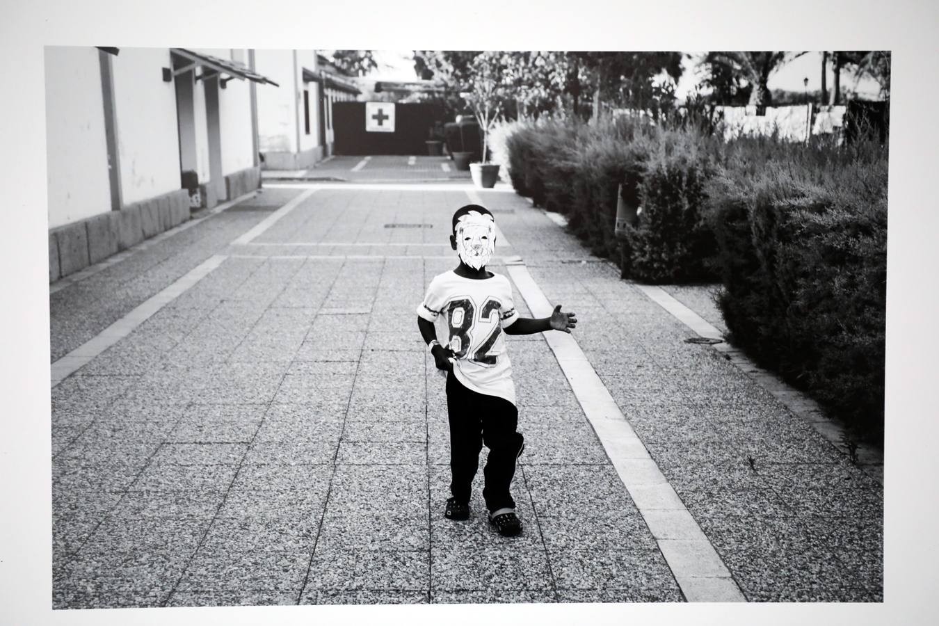 Fotos: El patio de la Asamblea de Extremadura acoge la exposición &#039;La revelación de la empatía&#039;