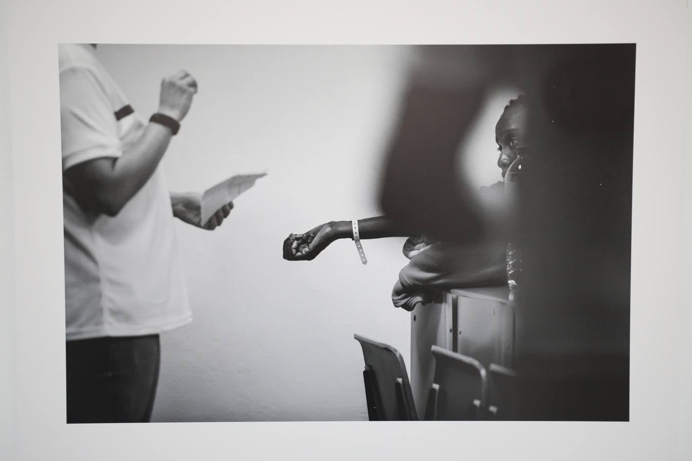 Fotos: El patio de la Asamblea de Extremadura acoge la exposición &#039;La revelación de la empatía&#039;