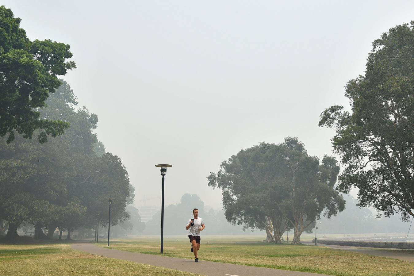 Fotos: El humo y la neblina de los incendios en Nueva Gales del Sur se cierne sobre Sydney