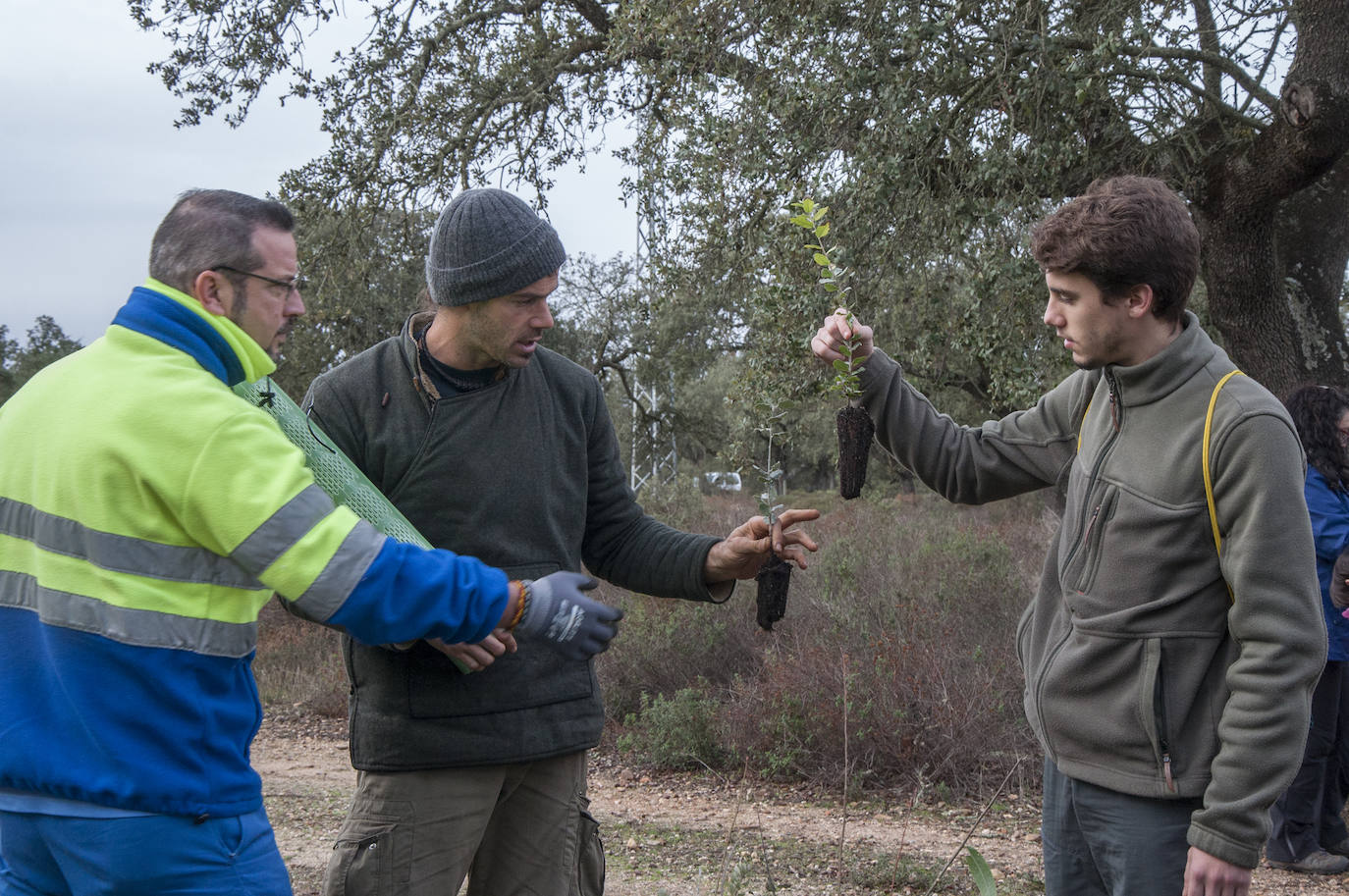 El lugar elegido en Badajoz para reforestar fue la parte alta del parque que perdió siete hectáreas en el incendio de 2017