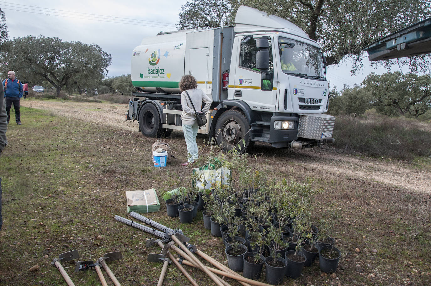 El lugar elegido en Badajoz para reforestar fue la parte alta del parque que perdió siete hectáreas en el incendio de 2017