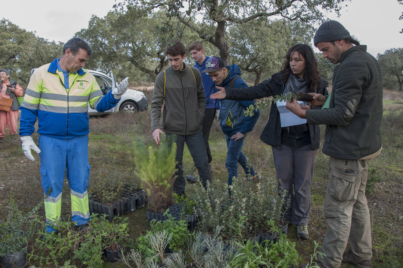 El lugar elegido en Badajoz para reforestar fue la parte alta del parque que perdió siete hectáreas en el incendio de 2017