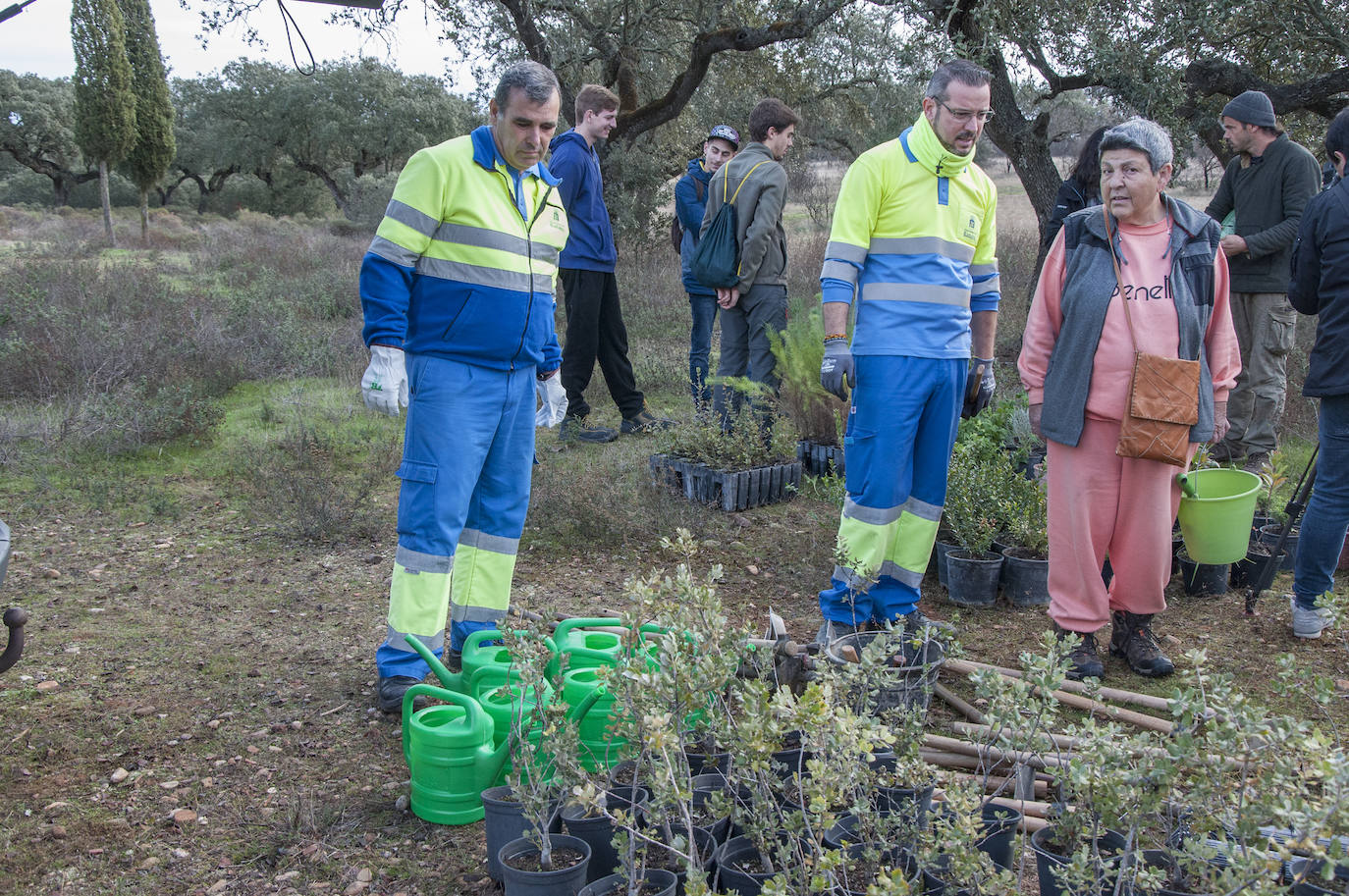 El lugar elegido en Badajoz para reforestar fue la parte alta del parque que perdió siete hectáreas en el incendio de 2017