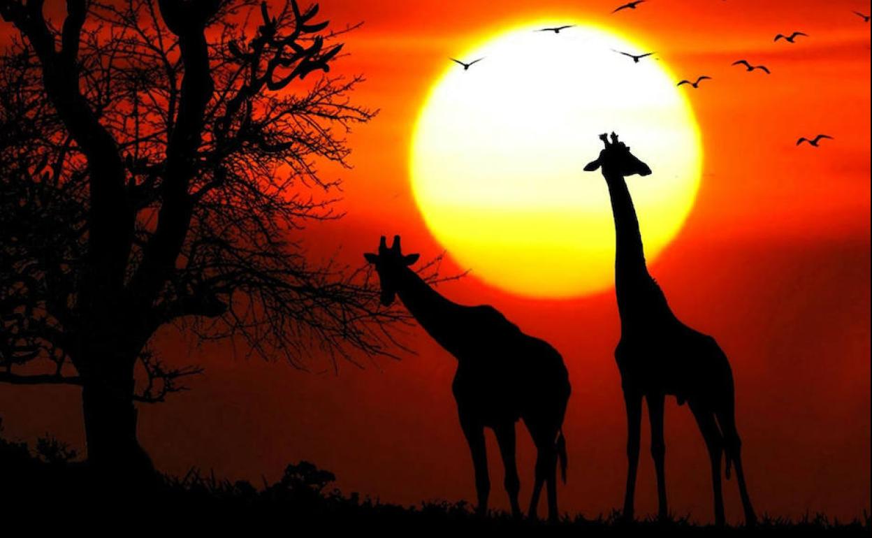 El Palacio de Congresos de Cáceres acoge dos espectáculos