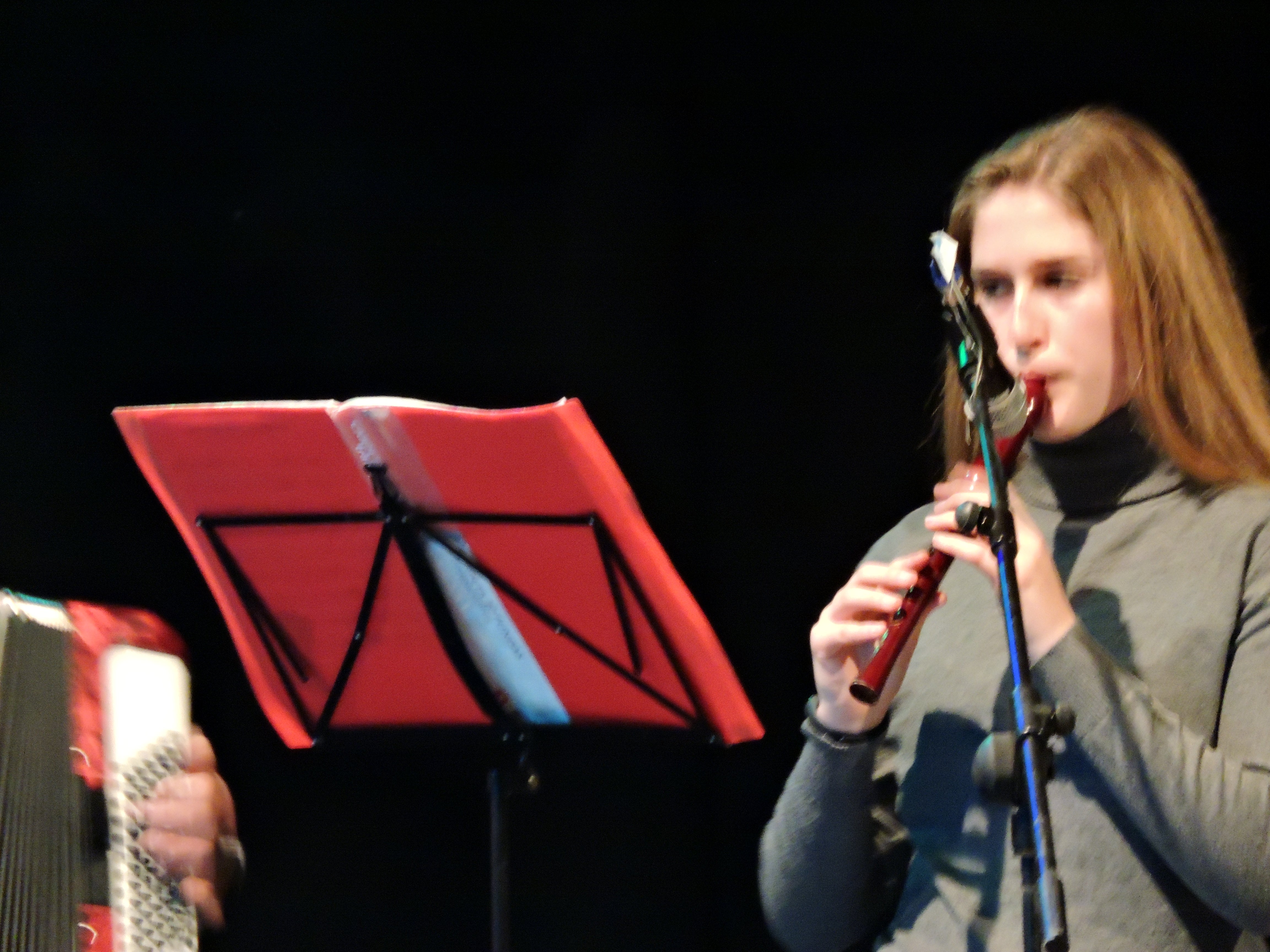 Fotos: Festival de la Solidaridad 2019 parte 2