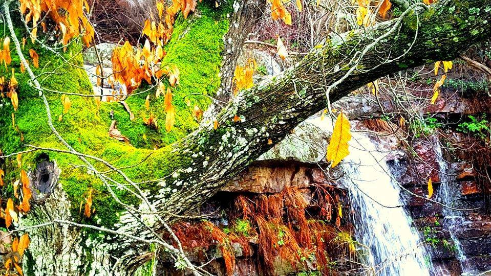 La Naciente en Helechosa de los Montes