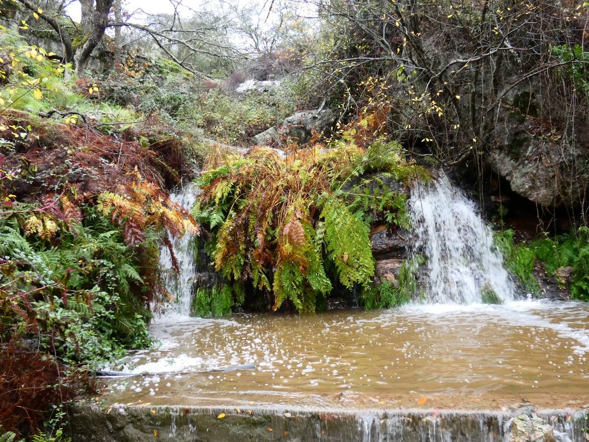 La Naciente en Helechosa de los Montes