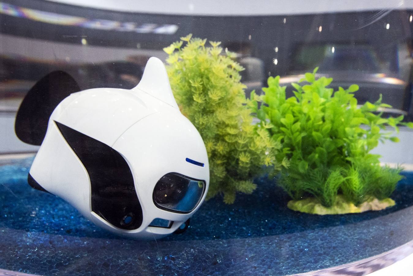 Fotos: CES 2020 Las Vegas