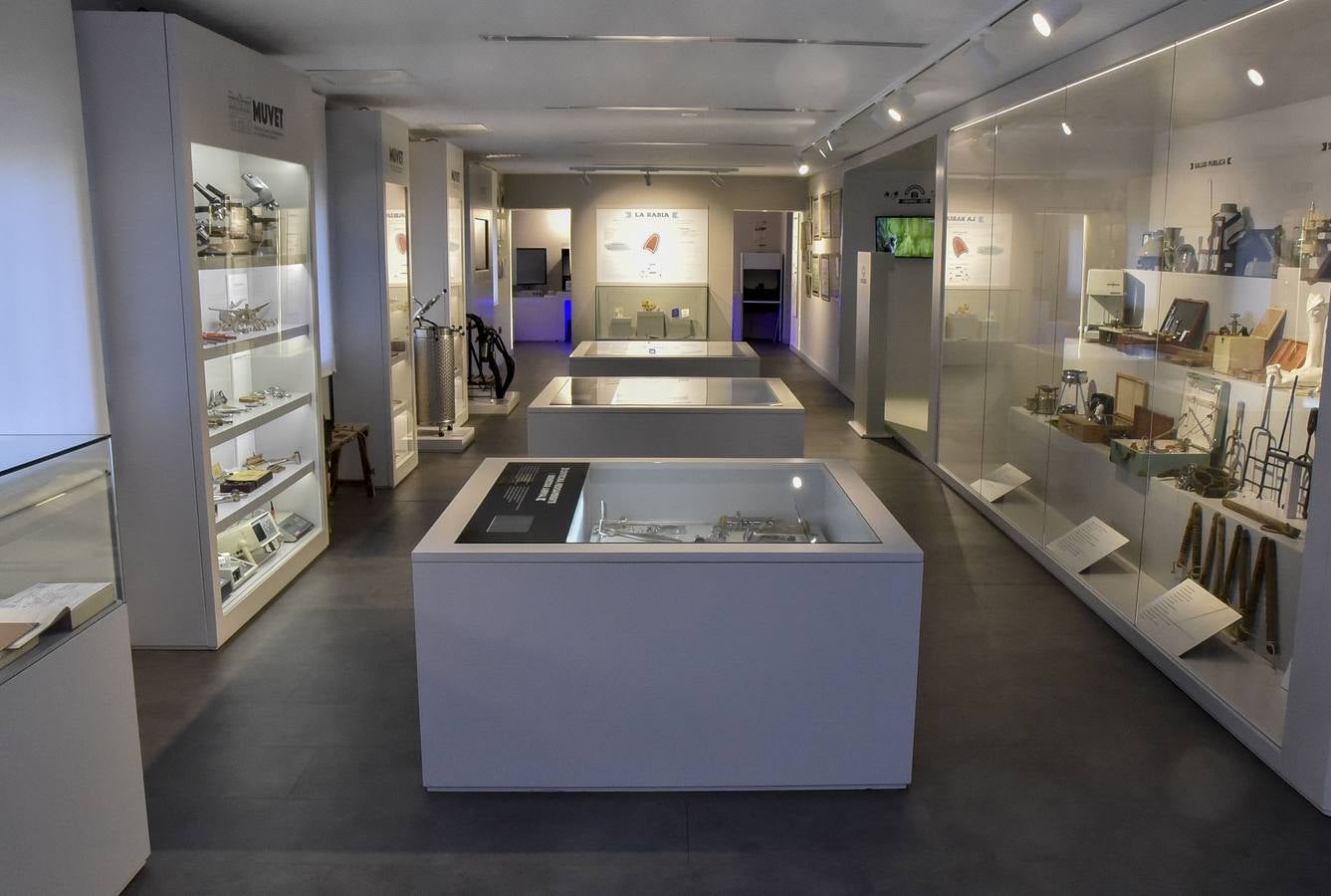 Fotos: El Museo de Veterinarios abrirá los fines de semana a todos los públicos