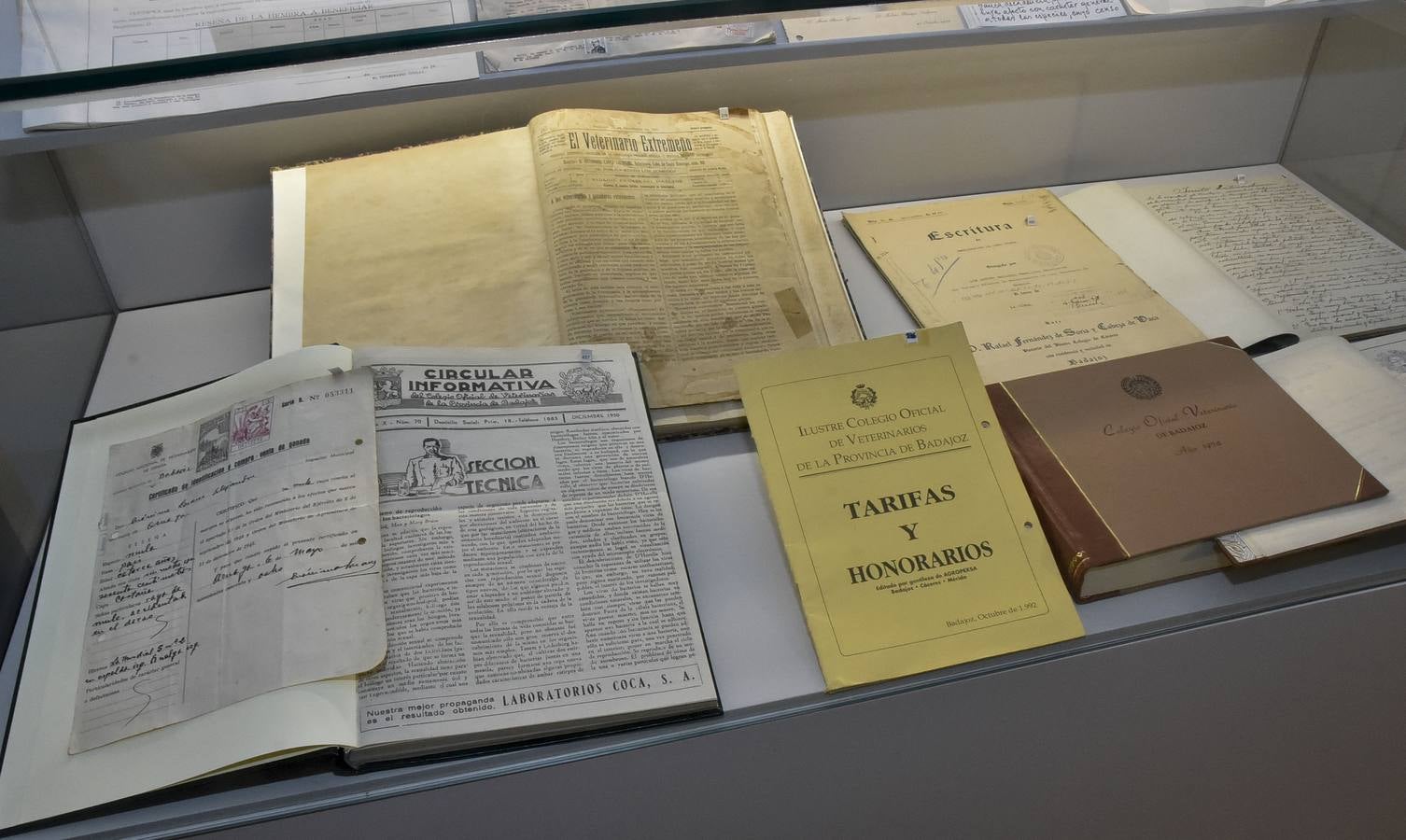 Fotos: El Museo de Veterinarios abrirá los fines de semana a todos los públicos