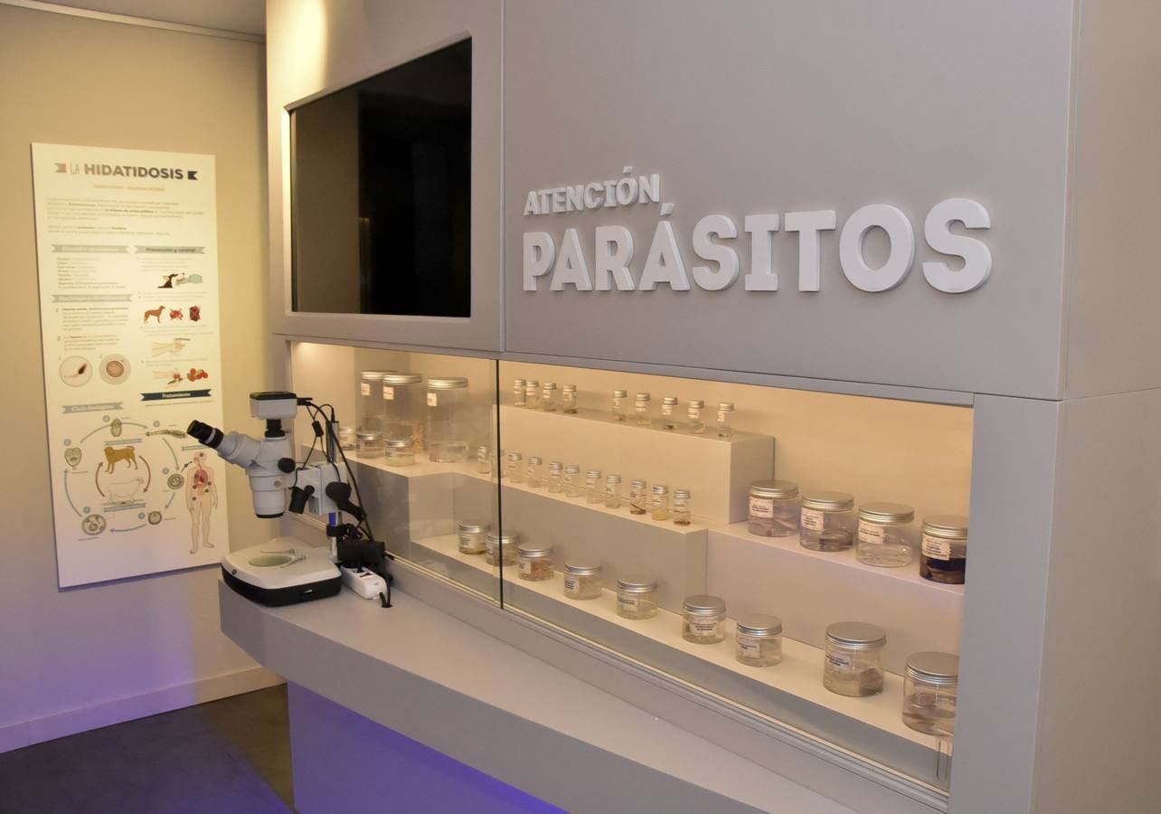 Fotos: El Museo de Veterinarios abrirá los fines de semana a todos los públicos